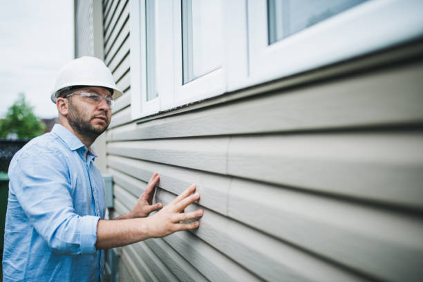 Affordable Siding Repair and Maintenance Services in Pine, AZ